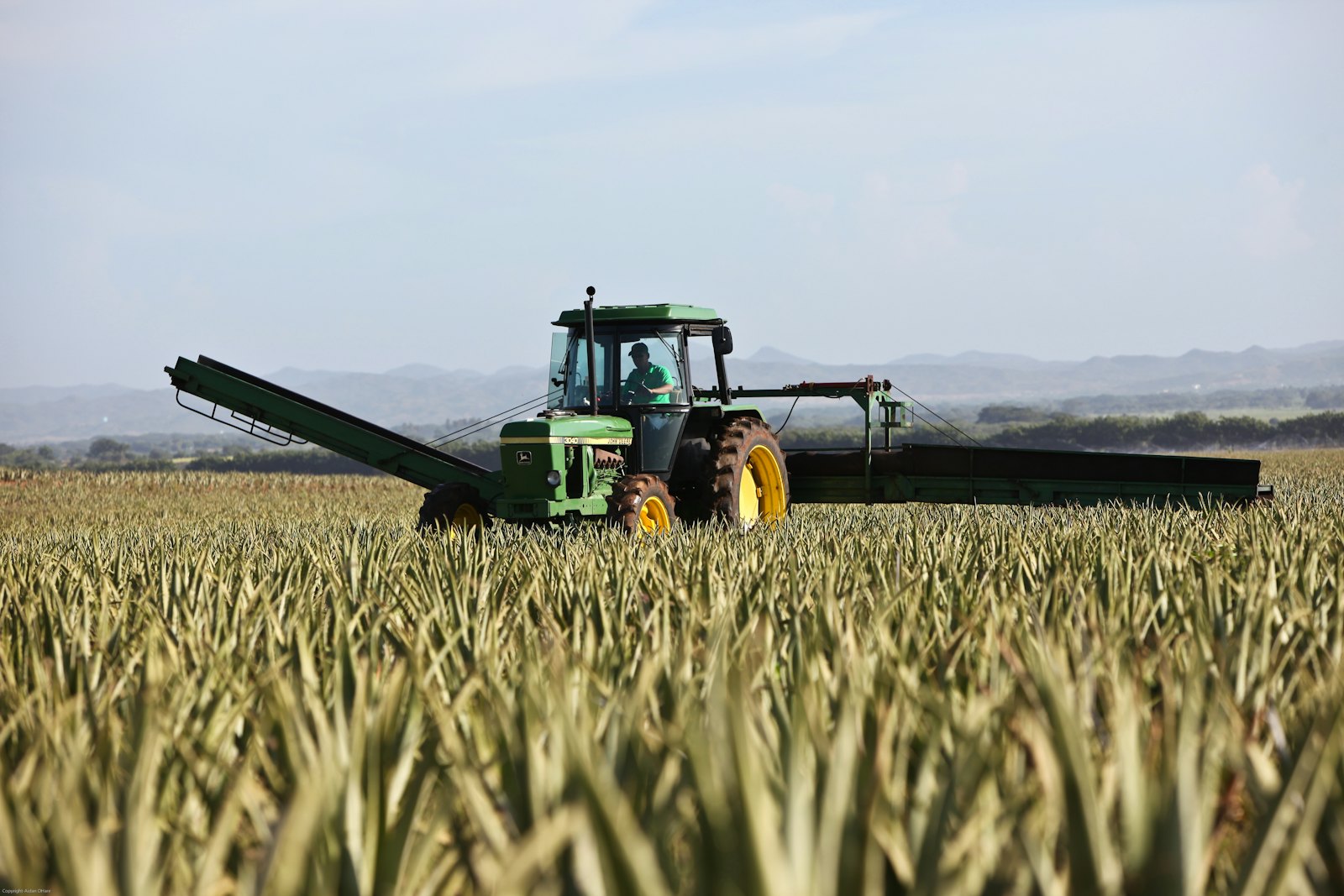 Moderne Erntetechnik im Feld